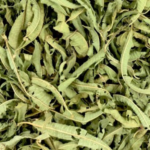 Verveine du Maroc
