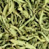 Verveine du Maroc