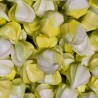 Meringue Citron – Vente en Vrac
