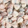 Meringue Bubblegum - Vente en Vrac